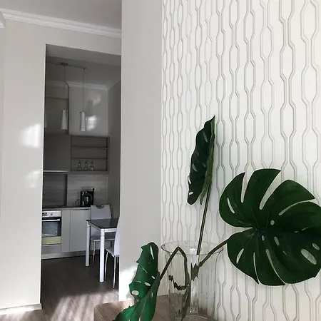 Downtown Junior Apartment